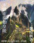 叶辰免费
