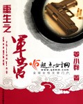 小说第一豪婿