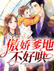 一胎二宝封爷半夜宠妻请温柔全文免费阅读