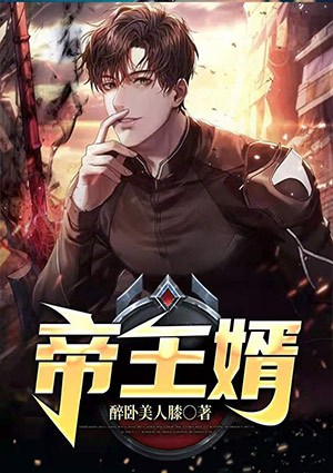 帝王婿叶辰叶语凝全文免费阅读