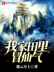 重生风起2000陆青云林若岚百度网盘