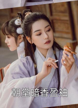 应是暗香盈袖番外
