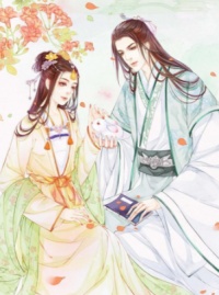 姜妙沈宴清的小说