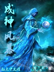 成神风暴txt下载八零