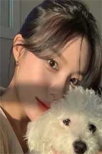 梨烟温西沉什么小说