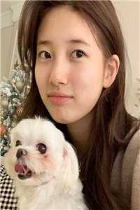 盖世皇太子卓依婷剧照