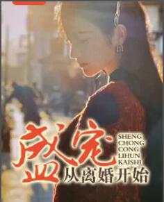 盛宠从离婚开始小说