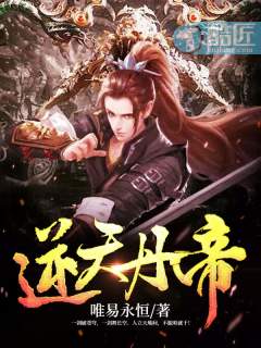 丹帝传说小说