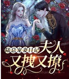 陆总宠妻日记：夫人又拽又撩