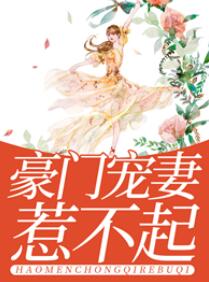 深情已迟暮小说免费阅读结局