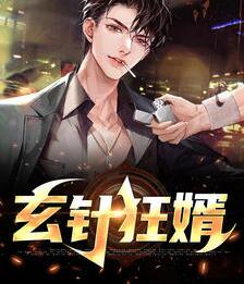 都市狂婿