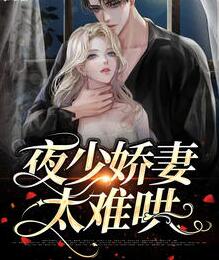 一夜情深:夜少放肆宠全篇免费阅读