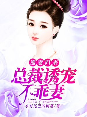 战龙归来林凡