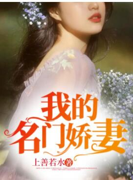 龙王归来最强赘婿