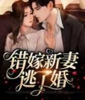 江曜景宋蕴蕴免费全文阅读