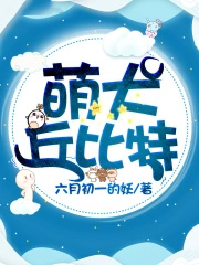 腹黑大人的特工宠妻