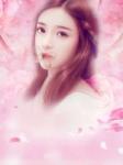 状元未婚夫