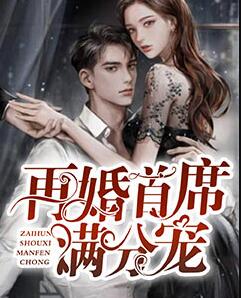 再婚首席满分宠小说