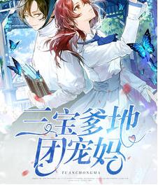 三宝爹地团宠妈