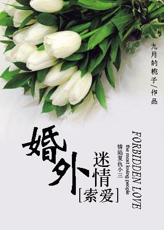 叶凡谭诗韵小说免费