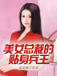 美女总裁的贴身兵王萧晨小说
