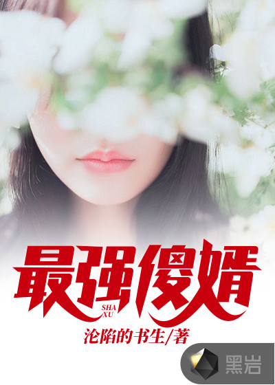 豪门傻婿陈凡齐宣宣