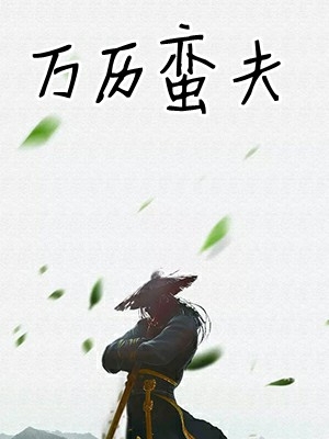 万历蛮夫txt下载