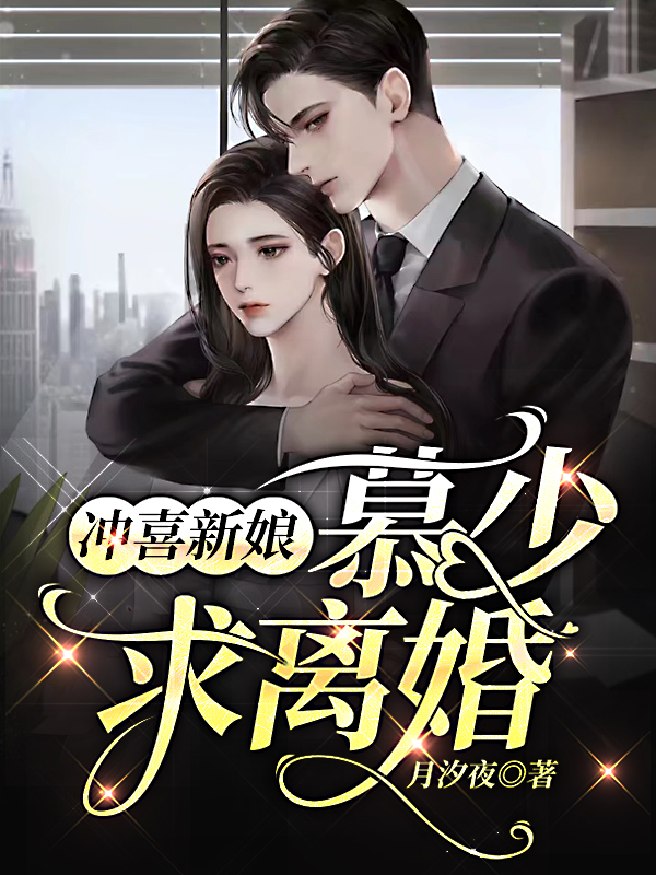 楚安安慕廷彦外交官